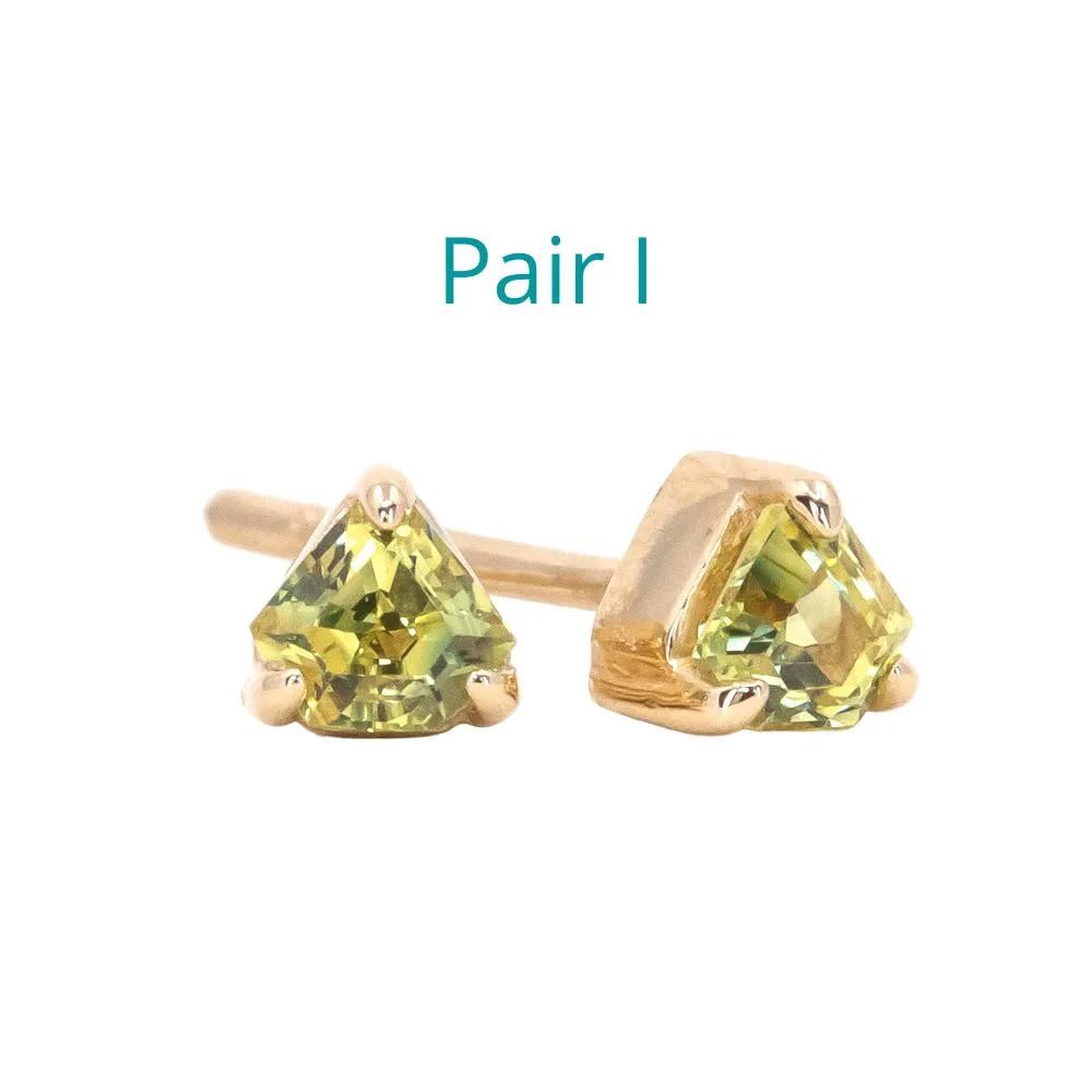 Shield Sapphire Stud Earrings in 14k Yellow Gold